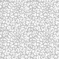 White on silver leopard print seamless repeat pattern background Royalty Free Stock Photo