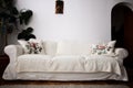 White simple couch with pilows