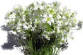 White simple small flowers bucket