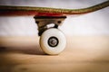 White skateboard wheels and trucks Royalty Free Stock Photo