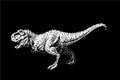 Graphical tyrannosaurus isolated on black background,vector