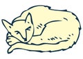 White Sleeping Cat