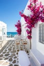 White small alley and houses with red bouganvillea flowers in Paros island Royalty Free Stock Photo