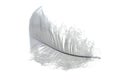 White small feather Royalty Free Stock Photo