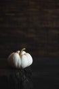 White small pumpkin on wood stump at dark background Royalty Free Stock Photo