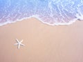 White small starfish on sand and pastel water wave, vintage filter effect Royalty Free Stock Photo