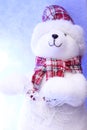 White smiling polar bear toy in a red checkred hat with fur and scarf on a snow blue background with a space for text Royalty Free Stock Photo