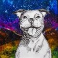 White smiling staffy dog drawing on colourful night background. Royalty Free Stock Photo