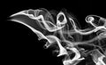 White smoke abstraction with swirls on black Royalty Free Stock Photo