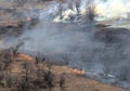 White smoke from an extinguished fire in a burnt meadow.