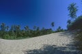 White smooth sand and coconut trees