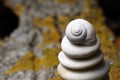 White snail shell on top of a pile of stones Royalty Free Stock Photo