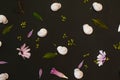 White snails on black background with petals and leaves background