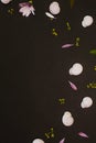 White snails on black background with petals and leaves background