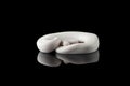 White snake ball royal python isolated on black background