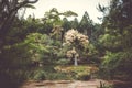 White Snake Pagoda of Kinkaku-ji temple garden, Kyoto, Japan Royalty Free Stock Photo