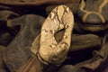 White snake skin shoe of somebody killed in Auschwitz