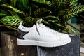 White sneaker with a star ornament made of rhinestones on the backdrop against the motley leaves of the plant