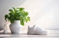 white sneakers and bottle of water on white wooden floor near window for sport fitness card design