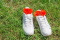 White sneakers on green grass in summer, red poppies inside. The concept of neutralizing sweat odors in shoes after Royalty Free Stock Photo