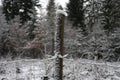 White snow caps on the fence posts Royalty Free Stock Photo