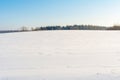 White snow-covered hilly field, on the horizon a group of dark trees against a background of snow and blue sky. Winter landscape Royalty Free Stock Photo