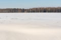 White snow-covered hilly field, on the horizon a group of dark trees against a background of snow and blue sky. Winter landscape Royalty Free Stock Photo