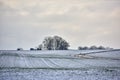 White snow covered landscape on a winter day with copy space and a background of the sky. Frost tree branches and leaves Royalty Free Stock Photo