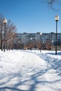 White snow covers the city park, with an alley and lanterns. Royalty Free Stock Photo