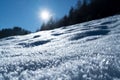 White snow crust winter on the forest slope high definition image with sun back light at Karpaty, Ukraine