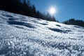 White snow crust winter on the forest slope high definition image with sun back light at Karpaty, Ukraine