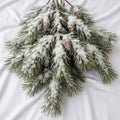 White snow emphasizing the natural beauty of the pine tree likely a Royalty Free Stock Photo