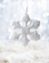White Snow flake Royalty Free Stock Photo