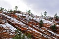 Red Desert Winter