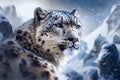 A snow leopard, Panthera uncia, In snow mountail. Generative AI.