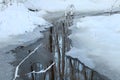 white snow, the stream is covered with thin ice, trees are reflected in the water Royalty Free Stock Photo