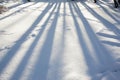 White snow surface with tree shadows Royalty Free Stock Photo