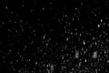 White snow texture on black background for overlay Royalty Free Stock Photo