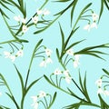 White Snowdrop Flower on Light Blue Background. Vector Illustration Royalty Free Stock Photo