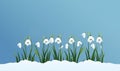White snowdrop flowers blooming in the snow, illustration generated by ai