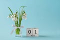 White snowdrops in a glass vase with bow and perpetual calendar with date 01 march against blue background. Small bouquet of the Royalty Free Stock Photo