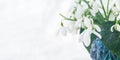 White snowdrops in a vase close-up on a white background Royalty Free Stock Photo