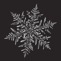 White snowflake on black background