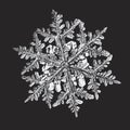 White snowflake on black background