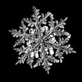 White snowflake on black background