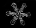 White snowflake isolated on black background. Illustration based on macro photo of real snow crystal: elegant star plate