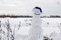 White snowman on the nature of the coma of snow. Royalty Free Stock Photo