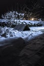 White snowy back yard with tree and doghouse at night