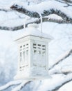 White snowy lantern on tree