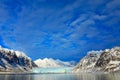 White snowy mountain, blue glacier Svalbard, Norway. Ice in ocean. Iceberg in North pole. Blue sky with ice floe. Beautiful landsc